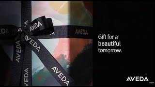 Get Your Friends and Family A Most-Wanted Gift - Aveda Holiday Gift Sets | Aveda