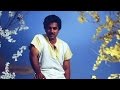 Tamil Songs | ஏதோ எண்ணம் வளர்த்தேன் | Yedhedho Ennam Valarthen | Ilaiyaraja Songs | Punnagai Mannan