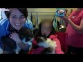 The Ultimate Super FUNNY MOMENTS & FAILS Compilation ✔