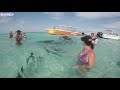 The Ultimate Super FUNNY MOMENTS & FAILS Compilation ✔