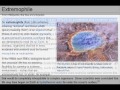 "New life" discovery by NASA - my interpretation...