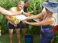 مقاطع جنس سكس جنسيه عربي بنات