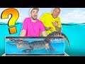 What's in the Box Challenge !? (UNDERWATER EDITION)