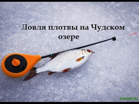 ловля окуня и плотвы весной на чудском озере ловля окуня и плотвы весной на чудском озере