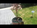 Joes copper tree water feature