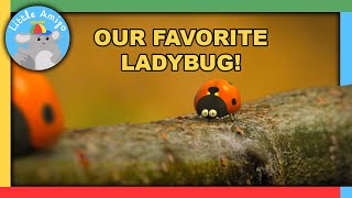 Minuscule - The Many Adventures of the Ladybug