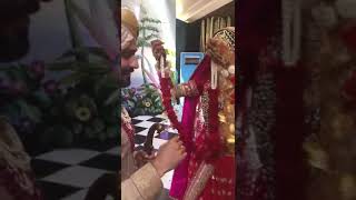 Bhangra Ta Sajda No One Gives A Damn Bhangra Ta Sajda Bhangra Ta Sajda Song Bhangra Ta Sajda L Bhangra Ta Sajda No One Gives A Damn Bhangra Ta Sajda Bhangra Ta Sajda Song Bhangra Ta Sajda L