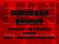 Suburban Knight