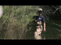 Working the Land - Fish Biologist : America's Heartland