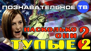 Насколько "они" тупые 2 (Познавательное ТВ, Максим Кузнецов)