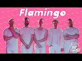 Fäaschtbänkler - Flamingo 🦩