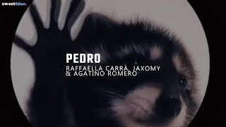 la canción de pedro | PEDRO - Raffaella Carrà, Jaxomy, Agatino Romero (Remix Tik