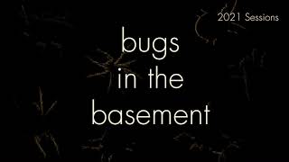 Bugs In The Basement - Sphecius Speciosus aka The Eastern Cicada Killer