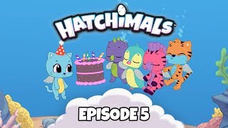 Hatchimals YouTube Series | Episode 5 – Hatchy Birthdays Forever!