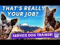Service Dog Trainer: Day in the Life, Placing a Guide Dog at Garden of the Gods