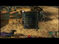 Guild Wars 2 - The Worth Of Laurels