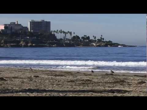 Real Estate on Best La Jolla Real Estate Agent Greg Phillips For Any San Diego Real