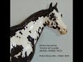 DREAMTIME Peter Stone OOAK Overo ISH Model Horse