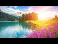 Relaxing Music Meditation Healing Zen Calming Music Sleep Soothing Music Study Yoga ☯1954