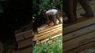Ngesek Sek Lurr
