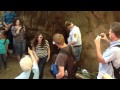 Breaking the "People in a Tree" record at Henry Cowell Redwoods