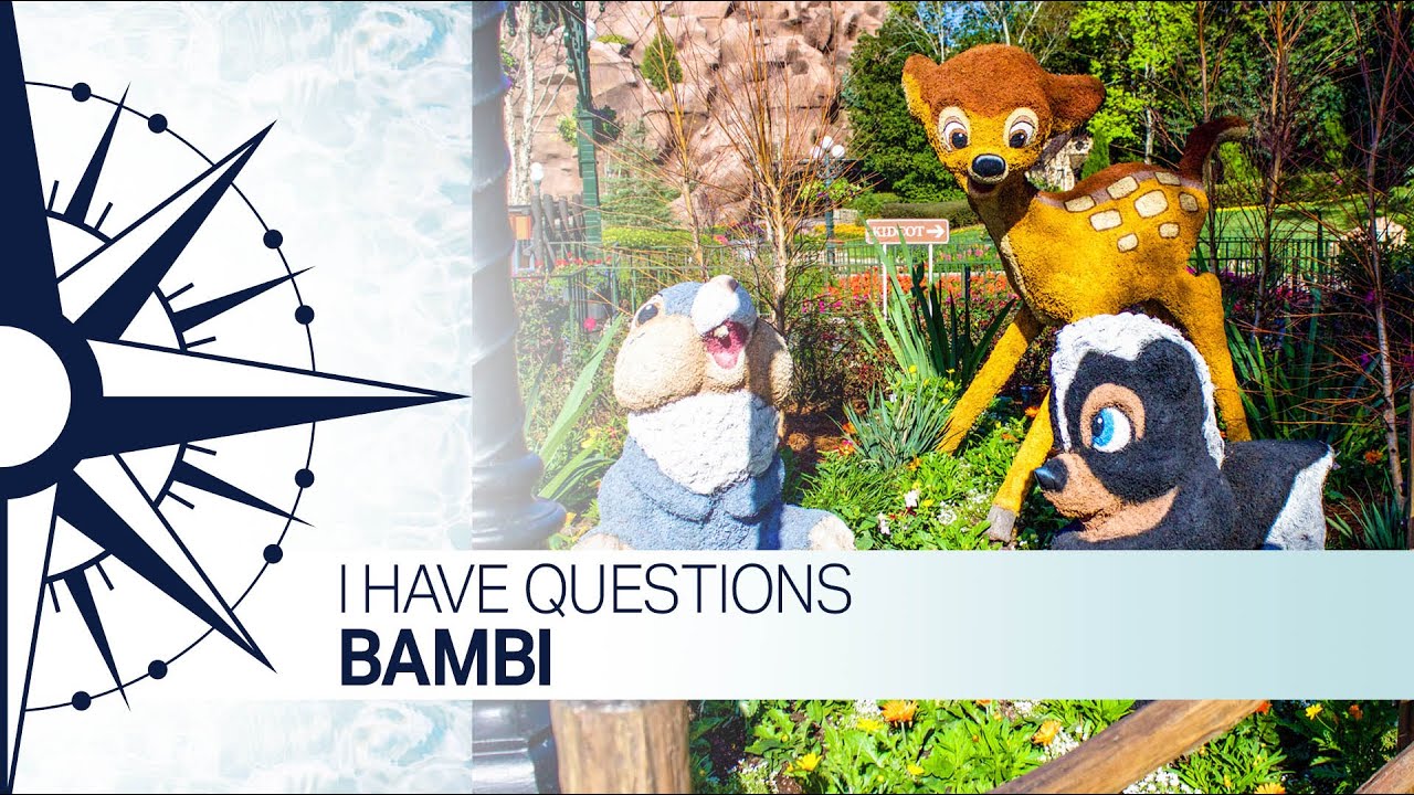 I Have Questions - Bambi