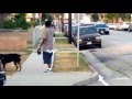 Polizia arresta un civile e spara al suo cane!!! Video shock!!!