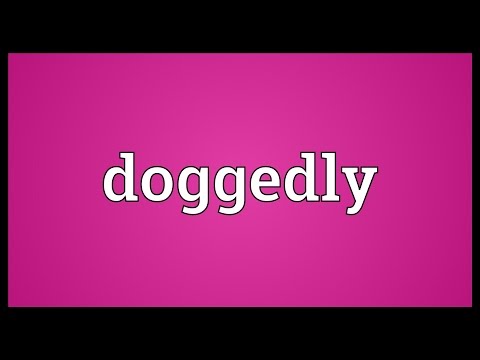Header of doggedly