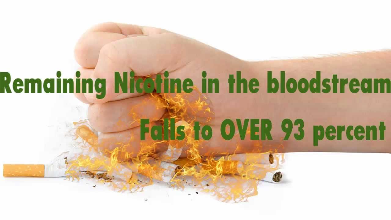 quit smoking timeline quit smoking timeline