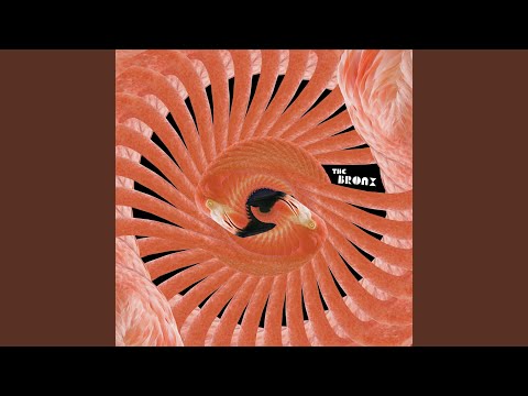 Pleasure Seekers Video