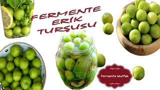 Tadına Bayılacaksınız.. Fermente Erik Turşusu...