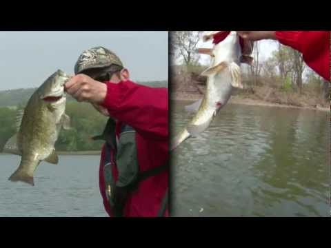 How To Fish A Buzzbait - Susquehanna River Smallmouth Bass Fishing ...