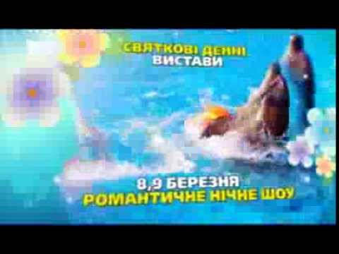 Донецкий дельфинарий приглашает на праздничные представления