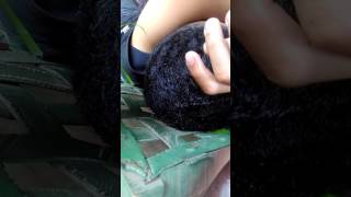 Video Lucu. Ga Sadar Tidurnya Di Ganggu