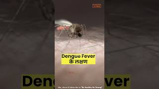 Dengue Fever Symptoms डग क लकषण