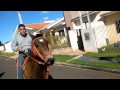 Meu primeiro rolê de Cavalo Meu primeiro rolê de Cavalo