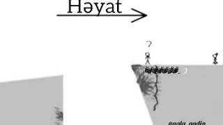 Hayat-