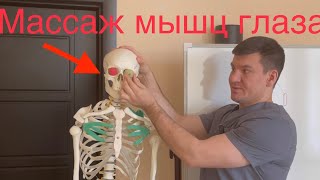 Зрение Улучшилось Сразу После Просмотра. Массаж Глазодвигательных Мышц. Массаж Глаз