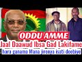 OMN: ODDU AMME - Baga Gamadan Jaal Daawud Ibsa Hidhaa Irra gadlakifame || Moha Oromo