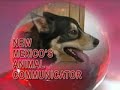 Animal Communication