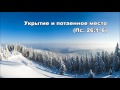 Тихое время с Живой Жизнью: Псалом 26 (7122016)