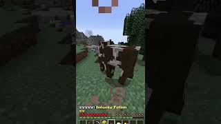 Cheh Les Vaches