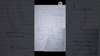 Biology Chp 7 Plant Growth And Minerial Nutrition
