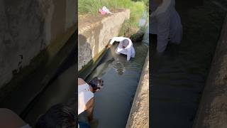 Epic Catch In Just 10 Seconds Shocked Everyone