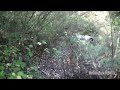 BMW 335i Crash Off Hill