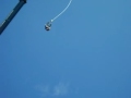 Defqon.1 Festival 2009 - Bungee jump