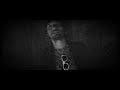 Ich Will Leben Video preview