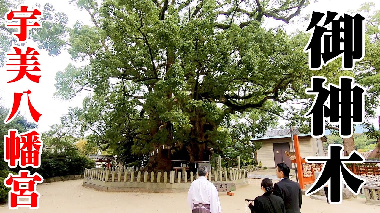 【宇美八幡宮】地名の由来に鳥肌たった!?【その2】