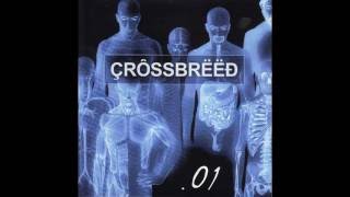 Watch Crossbreed Friendly Values video