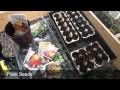 Growing Your Own Food